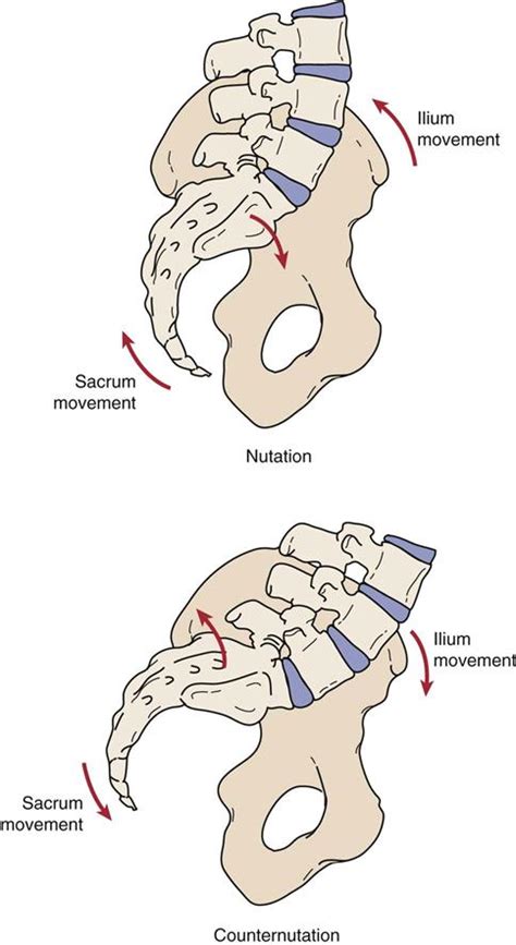 sacral torsion and tilt